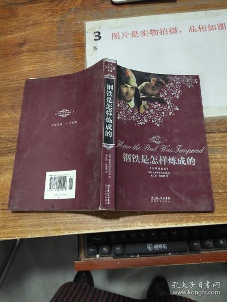 钢铁是怎样炼成的（全译插图本）