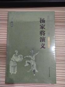 中国古典文学名著：杨家将演义