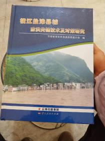 横江盐津县城防洪关键技术及对策研究