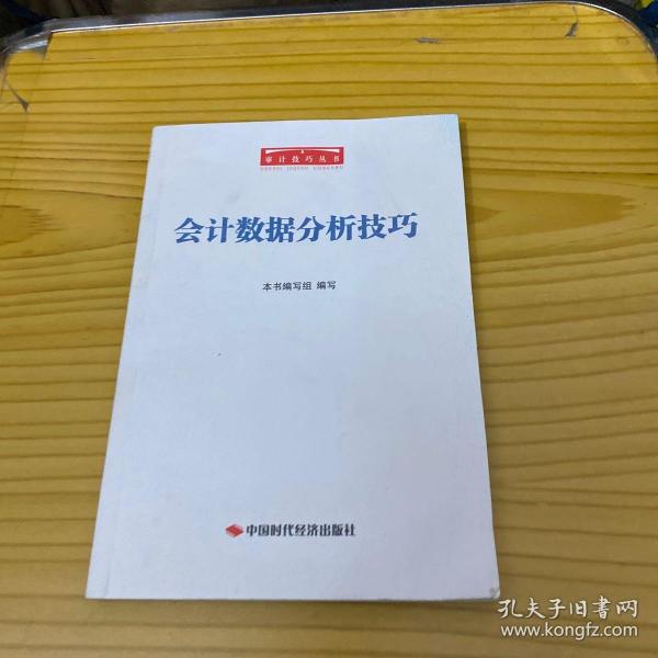 审计技巧丛书：会计数据分析技巧