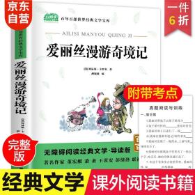 爱丽丝漫游奇境记小学教辅指定版附带考点题型训练阅读课外读物世界经典文学名著