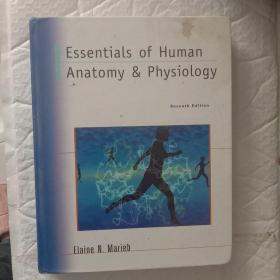 Essentials Of Human Anatomy & Physiology