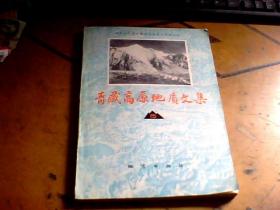 青藏高原地质文集 15