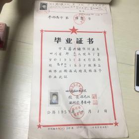 1957年高中毕业证书 （带存根）