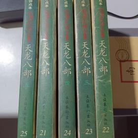 天龙八部（1-5册）陈墨评点本