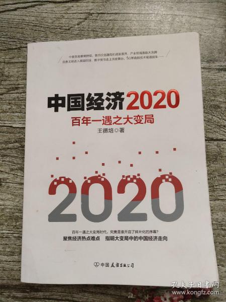 中国经济2020