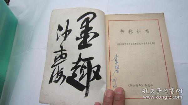 07，1982书本，沙孟海签名本：浙江青年增刊：：《青年钢笔字书法比赛获奖作者作品选粹：书林新苗》（内有叶圣陶、江丰、沙孟海、廖沫沙、华君武精美题词、篆刻30余幅、18位名人签名如叶圣陶、姜昆、赵忠祥、刘晓庆等）