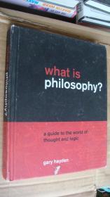 What's philosophy? 布面精装宽16开 插图本