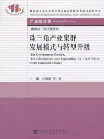 教育部人文社会科学重点研究基地重大项目成果丛书·产业经济类：珠三角产业集群发展模式与转型升级