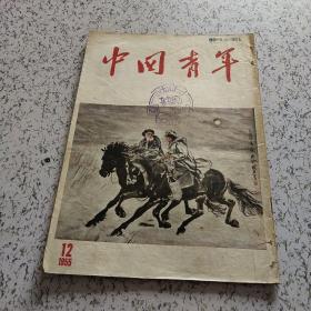 中国青年1955年第12期