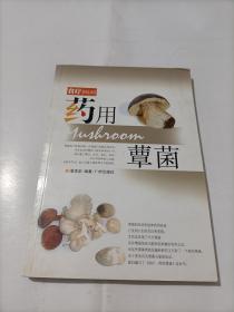 食疗 药用蕈菌