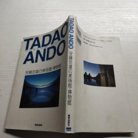 TADAO ANDO  见图