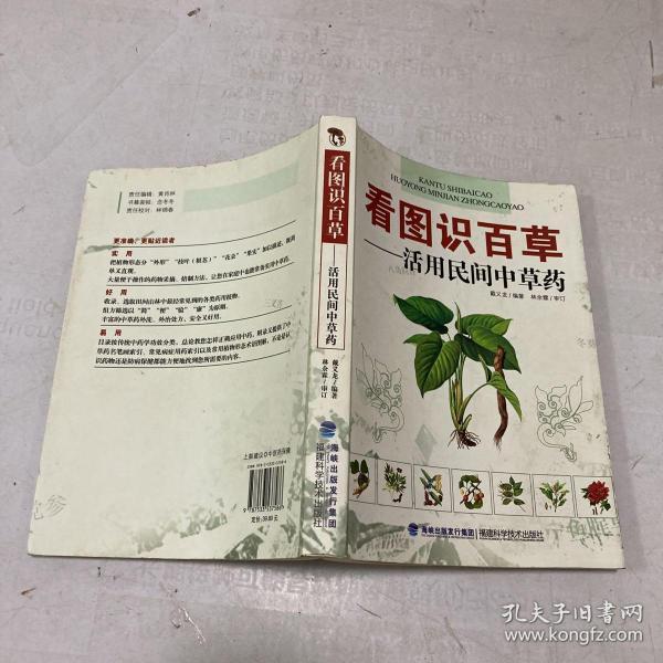 看图识百草：活用民间中草药