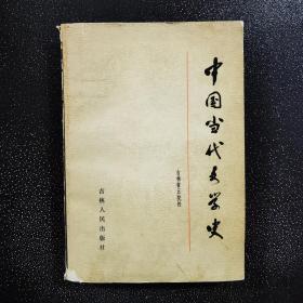 中国当代文学史