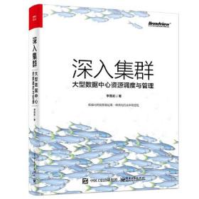 深入集群：大型数据中心资源调度与管理算法训练营：海量图解+竞赛刷题（进阶篇）