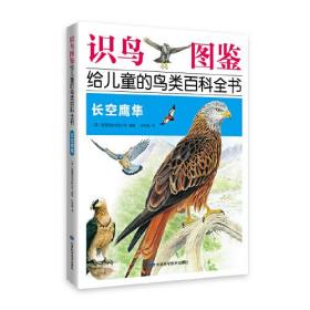 《识鸟图鉴，给儿童的鸟类百科全书：长空鹰隼》 400多种鸟类介绍，  1200多幅手绘图片，400多幅实景图片，真实还原鸟类世界！