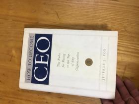 HOW TO BECOME CEO