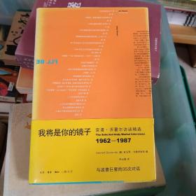 我将是你的镜子：与波普巨星的35次对话