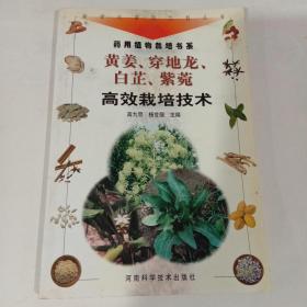 黄姜、穿地龙、白芷、紫菀高效栽培技术——新世纪富民工程丛书·药用植物栽培书系