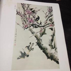 王雪涛画集(1987年1版1印  12开本).