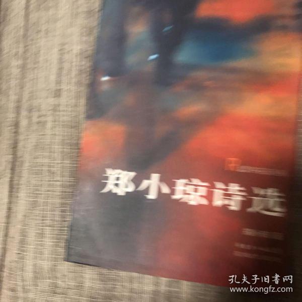 郑小琼诗选 私藏品好 忍冬花诗丛 初版