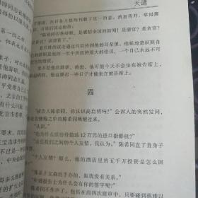 天谴 新疆大学出版社