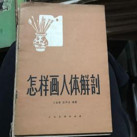 怎样画人体解剖