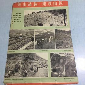六十年代广东省电白县荒山造林，建设山区宣传画