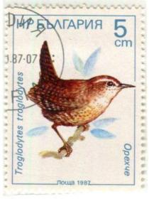 保加利亚1987鸟