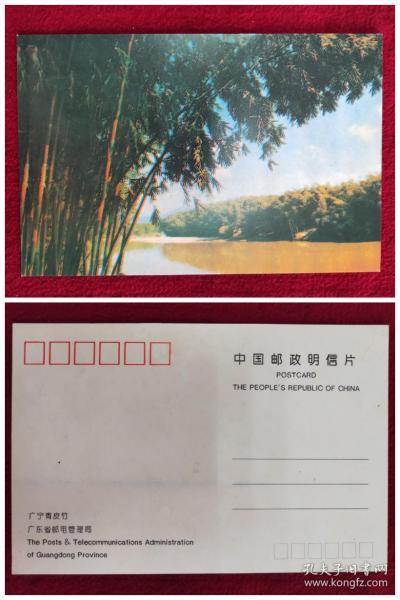 《广宁青皮竹》明信片（广东省邮电管理局发行）