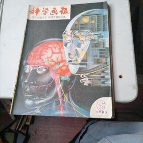 科学画报杂志1985一1，6，7