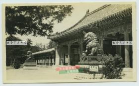 民国时期北京颐和园万寿山前山中部排云门老照片，铜狮，太平花