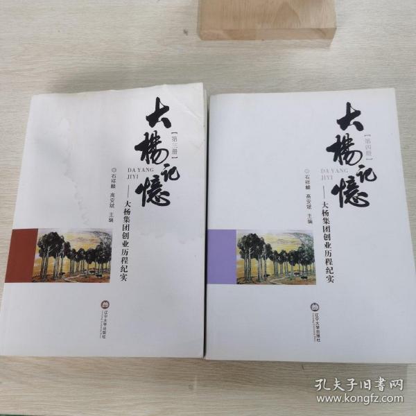 大杨记忆一大杨集团创业历程纪实(3一4)