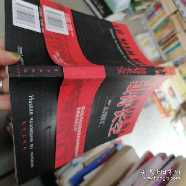 独臂长空——战争文学经典重读系列