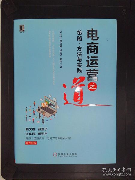 电商运营之道：策略、方法与实践