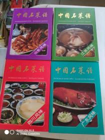 中国名菜谱(全4册)