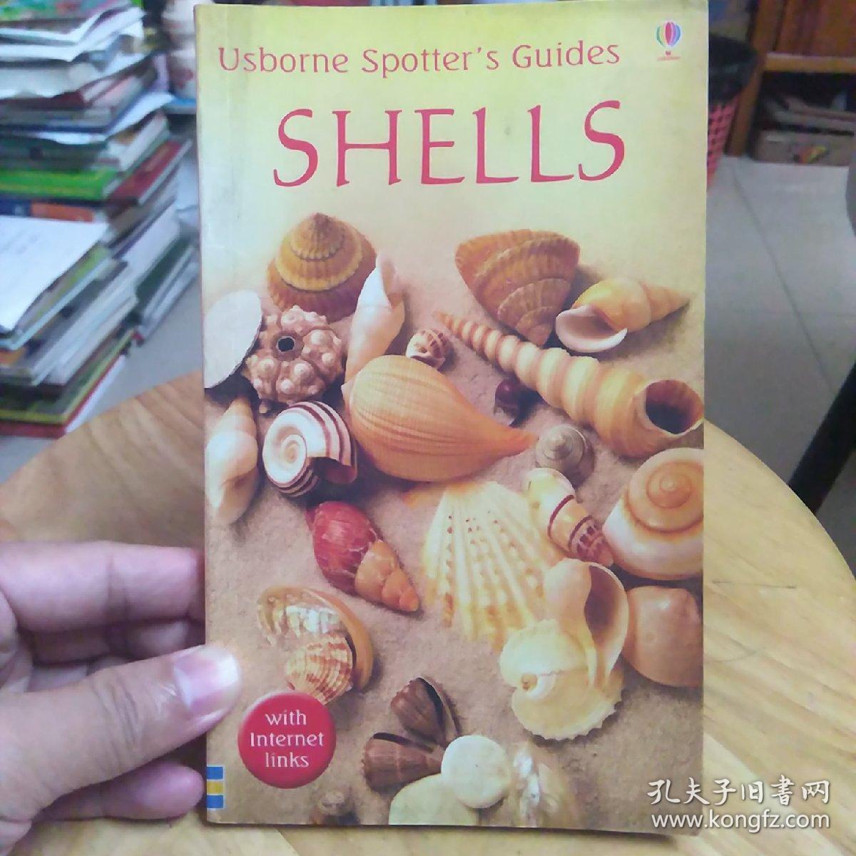 Shells（贝壳）（121）