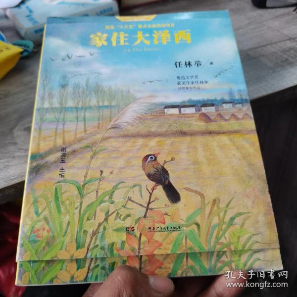 家住大泽西/大作家·小时候系列