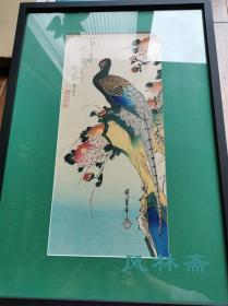 歌川广重的花鸟风月 《菊花与雉子》日本原装画框 大短册判 复刻浮世绘