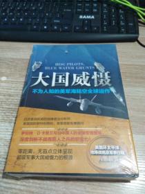 大国威慑：不为人知的美国海陆空全球运作