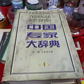 中国专家大辞典1（包邮）