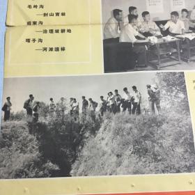 六十年代辽宁省阜新蒙古族自治县宣传画