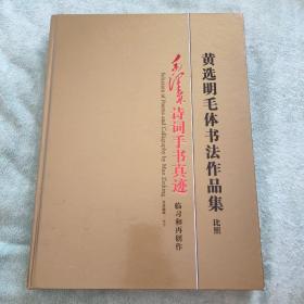 中国镇赉首届白鹤摄影大奖赛作品选