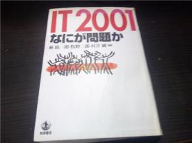 IT2001 なにが問題か 牧野二郎等著 岩波書店 2000年 大32开平装 原版日文 图片实拍