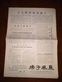 1967《扬子风暴》创刊号一份