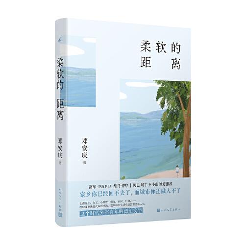 柔软的距离（家乡你已经回不去，而城市你还融入不了——写给每个漂泊异乡的“打工人”）