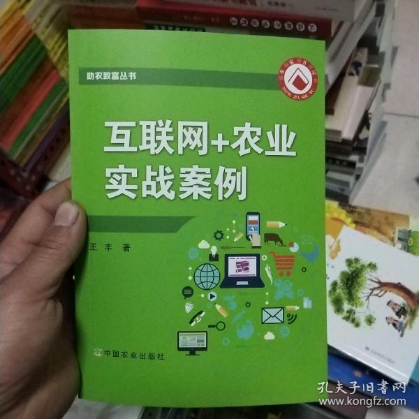 互联网+农业实战案例/助农致富丛书