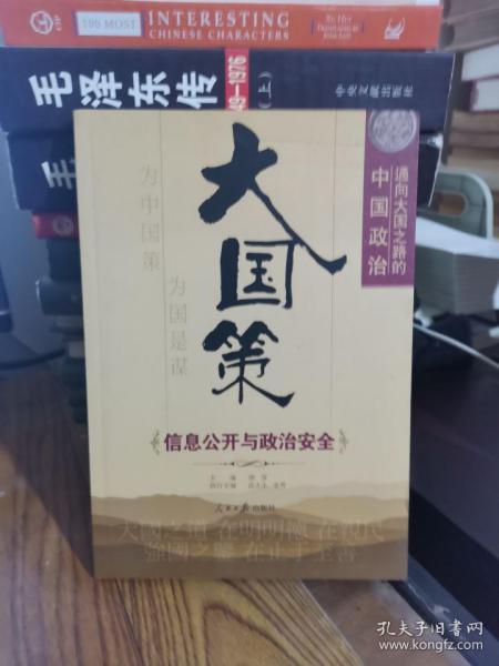 大国策——通向大国之路的中国政治：信息公开与政治安全