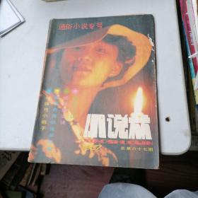 小说林杂志1987一4