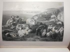 1854 年 ART JOURNAL Engravings Sculpture Vernon Gallery Art Folio 376页 含36副整页版画 不缺页 半皮装帧  33X24cm